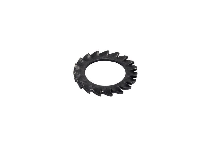 M16 Tırtıl Rondela DIN 6798