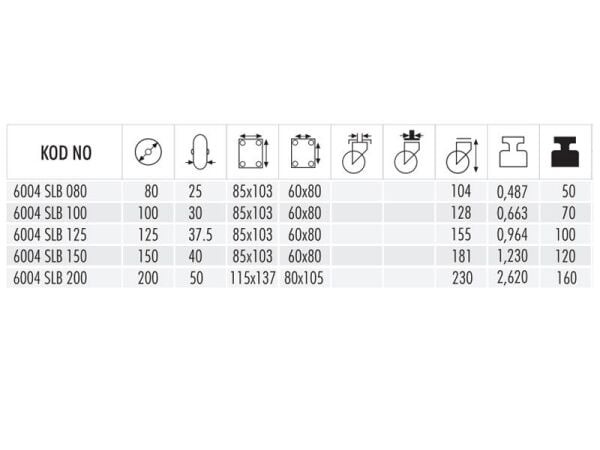 6004 SLB 200  Sabit Saç Jantlı Teker