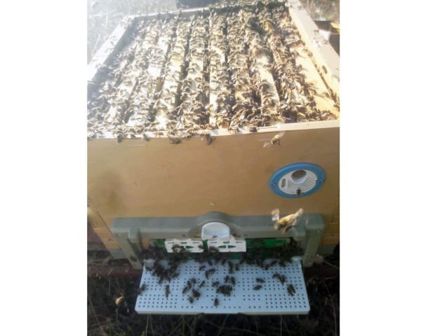 Plastik Termo Kovan İki Katlı 20 Çerçevelik 04012