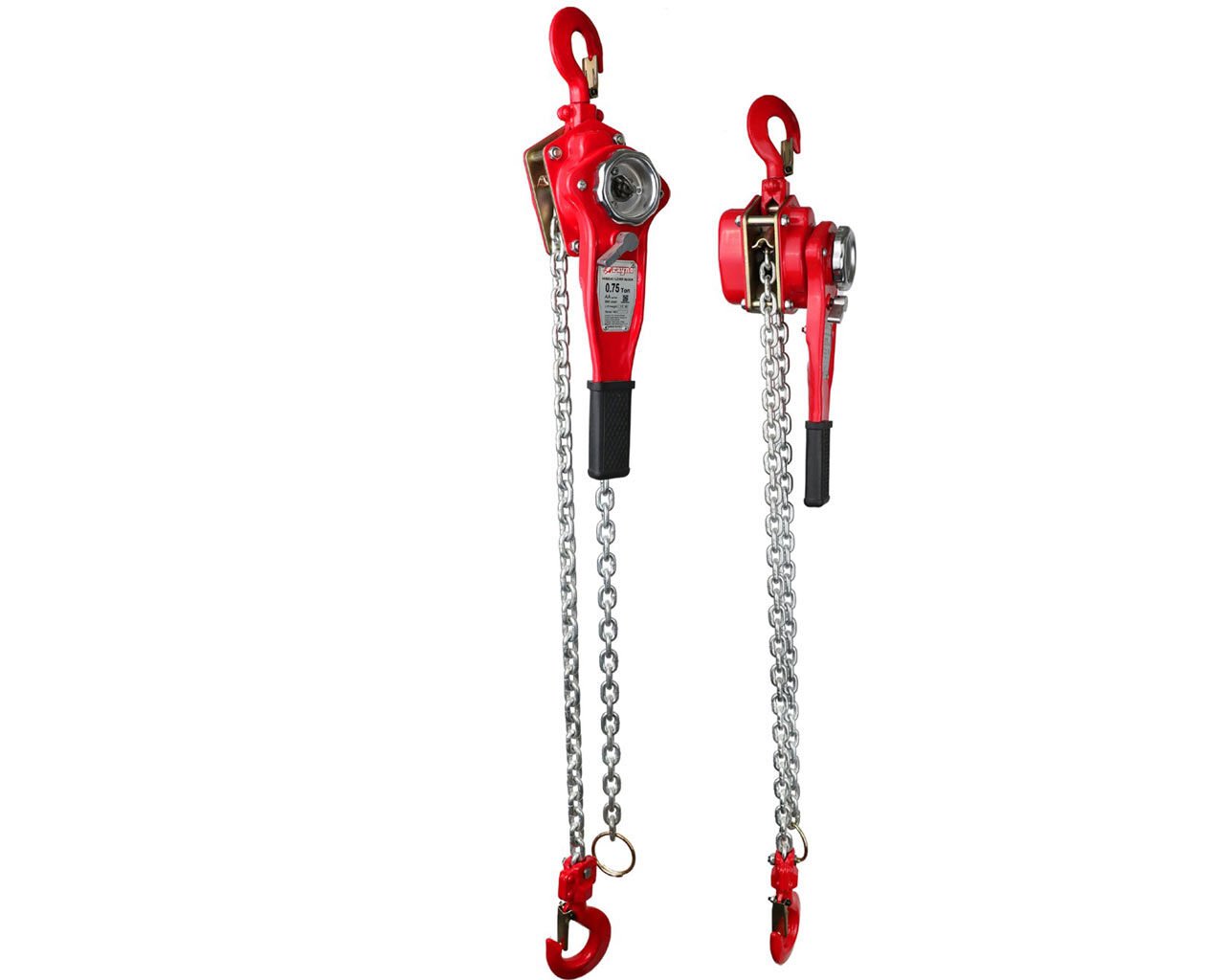 RAYNO Hubzug 1.5 Ton 1.5mt RYN11069