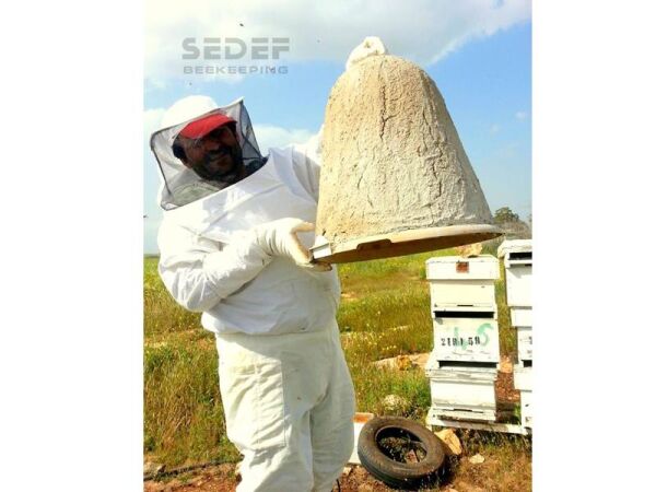 Sepet Kovan