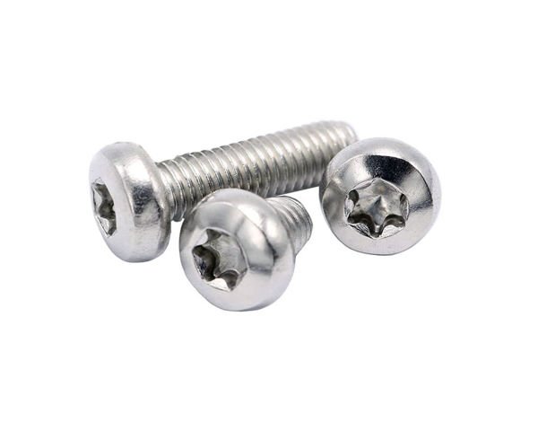 M6x25 Inox Torx Sb Vida DIN 7985 TX